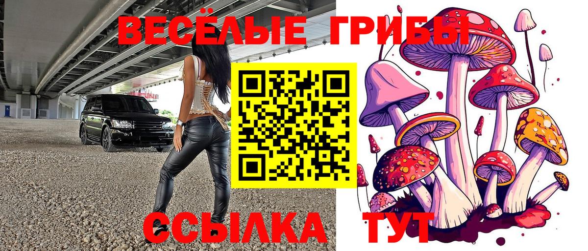 Псилоцибиновые грибы GOLDEN TEACHER Каменка