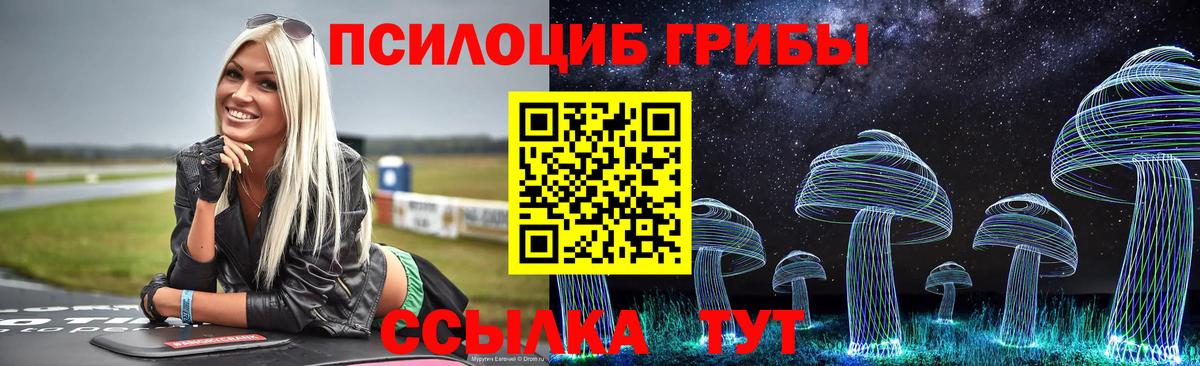 Галлюциногенные грибы Psilocybe  Вход с VPN  Галлюциногенные грибы GOLDEN TEACHER  Каменка 