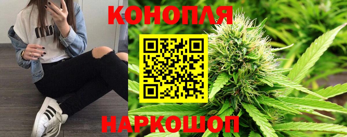 Марихуана сатива  Вход с VPN  Каннабис планчик  Марихуана LSD WEED  Каменка 